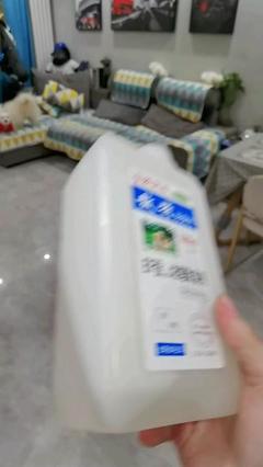 宠物除臭剂的选购指南与使用技巧